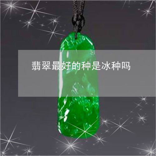翡翠最好的种是冰种吗 翡翠最好的种是冰种吗