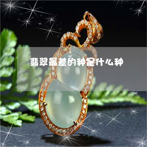 翡翠最差的种是什么种