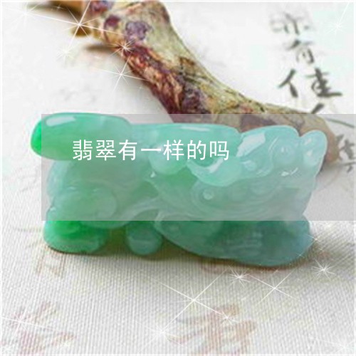 翡翠有一样的吗/2023032584936