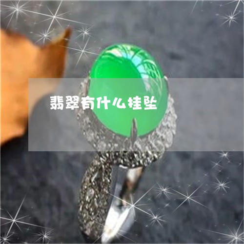 翡翠有什么挂坠/2023032558593