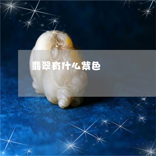 翡翠有什么紫色/2023032525157 翡翠有什么紫色/2023032525157