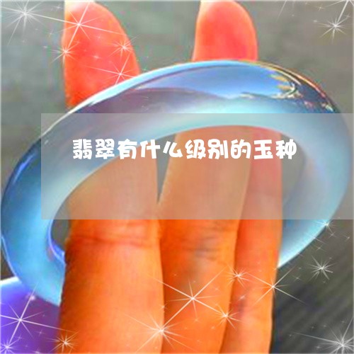 翡翠有什么级别的玉种 翡翠有什么级别的玉种