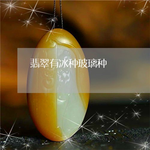 翡翠有冰种玻璃种/2023030410405