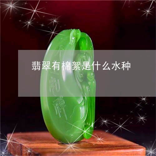 翡翠有棉絮是什么水种