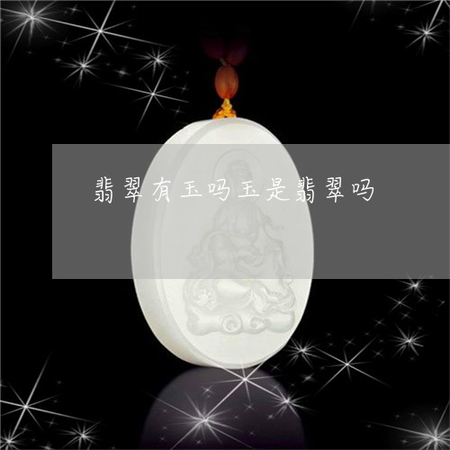 翡翠有玉吗玉是翡翠吗/2023060940281