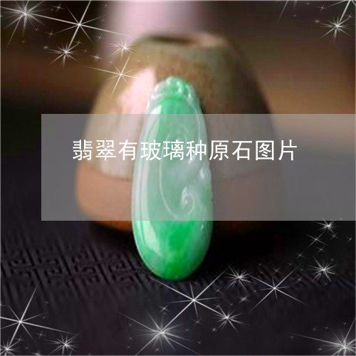 翡翠有玻璃种原石图片/2023061761595