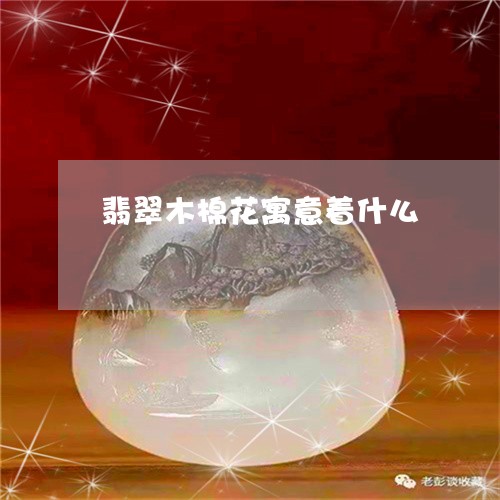 翡翠木棉花寓意着什么/2023061757149