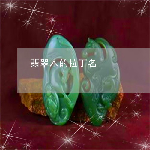 翡翠木的拉丁名/2023032541612 翡翠木的拉丁名/2023032541612