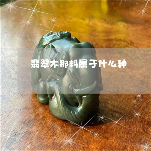 翡翠木那料属于什么种/2023060961895