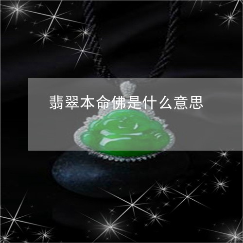 翡翠本命佛是什么意思/2023060973612