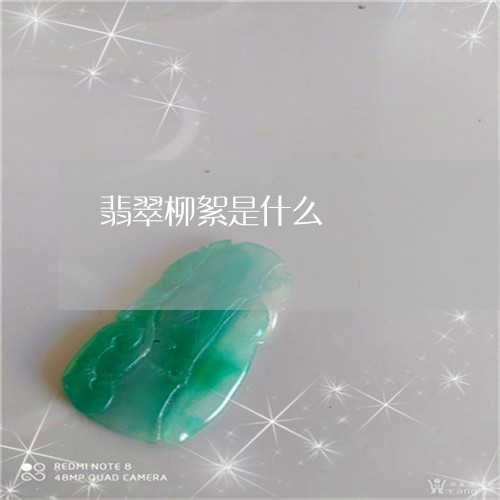 翡翠柳絮是什么/2023032404716