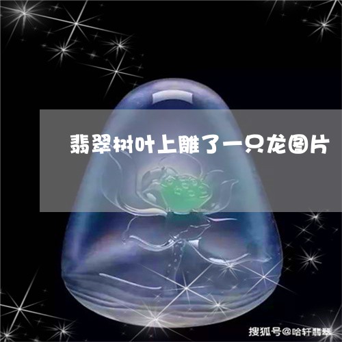 翡翠树叶上雕了一只龙图片/2023062971694