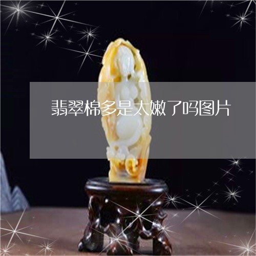 翡翠棉多是太嫩了吗图片/2023061851484