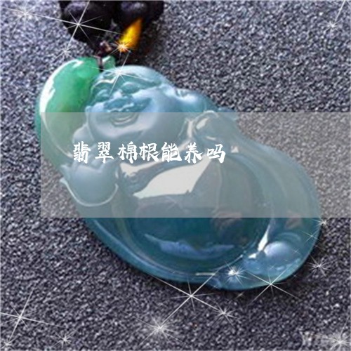 翡翠棉根能养吗/2023032438594 翡翠棉根能养吗/2023032438594
