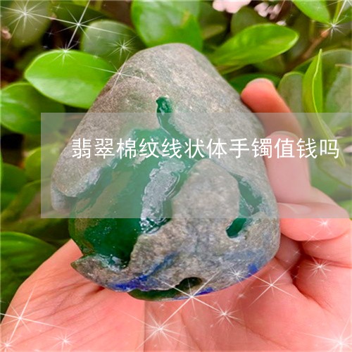 翡翠棉纹线状体手镯值钱吗/2023062904937