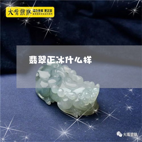 翡翠正冰什么样/2023032436149 翡翠正冰什么样/2023032436149