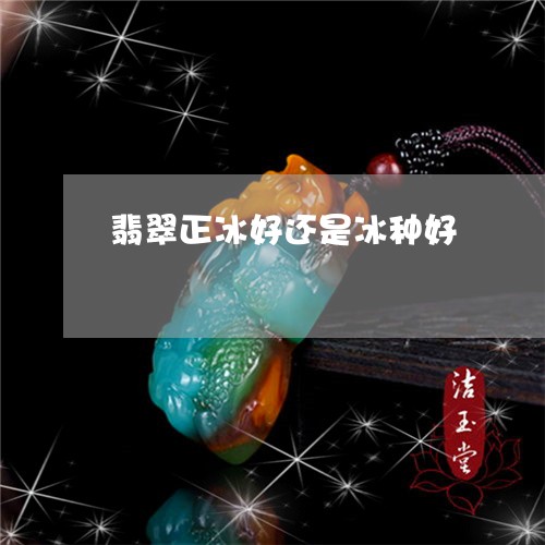 翡翠正冰好还是冰种好
