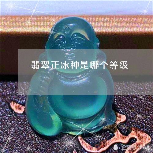 翡翠正冰种是哪个等级/2023060929280