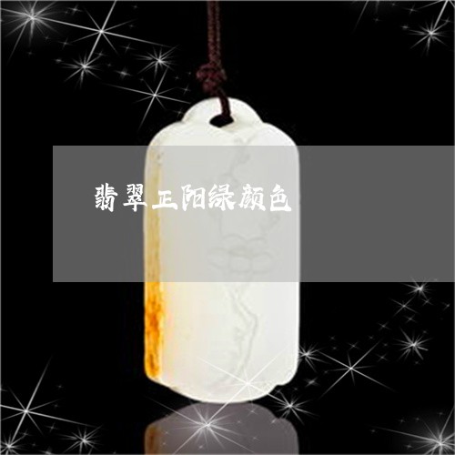 翡翠正阳绿颜色/2023032495039 翡翠正阳绿颜色/2023032495039