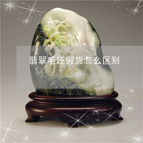 翡翠毛坯假货怎么区别/2023060950471 翡翠毛坯假货怎么区别/2023060950471