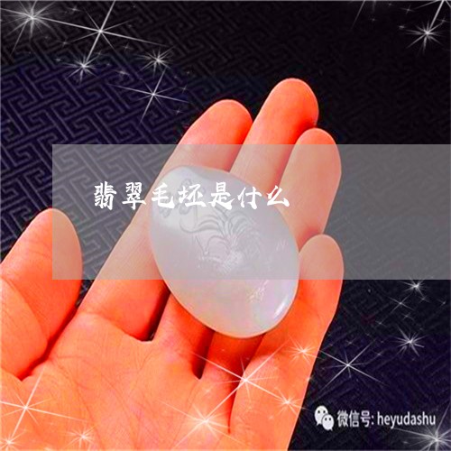 翡翠毛坯是什么/2023032420614