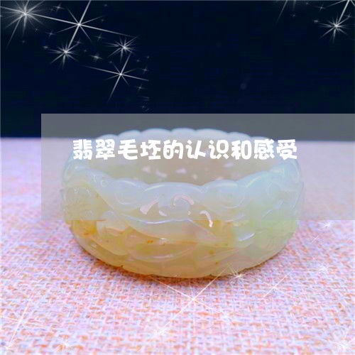 翡翠毛坯的认识和感受 翡翠毛坯的认识和感受
