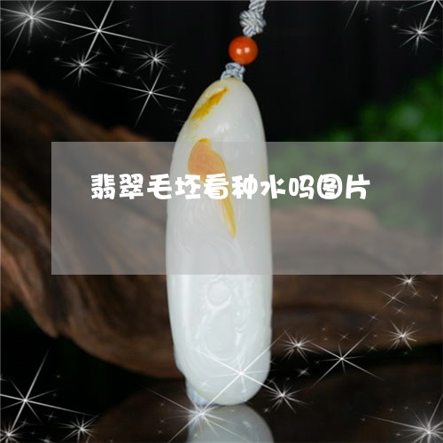 翡翠毛坯看种水吗图片