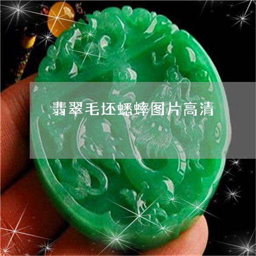 翡翠毛坯蟋蟀图片高清 翡翠毛坯蟋蟀图片高清