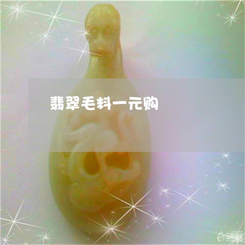 翡翠毛料一元购/2023032472403