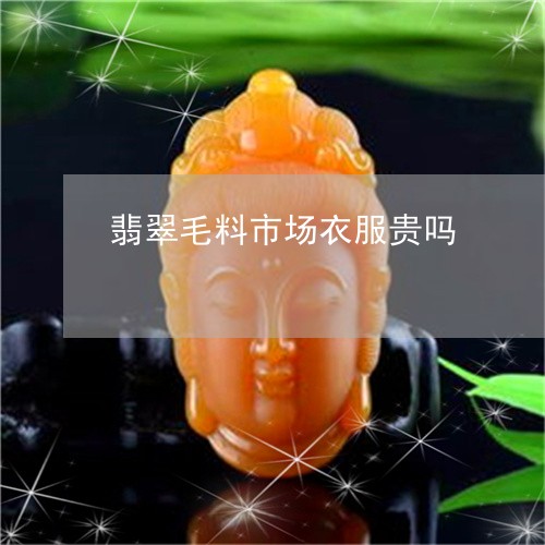翡翠毛料市场衣服贵吗/2023060937052 翡翠毛料市场衣服贵吗/2023060937052