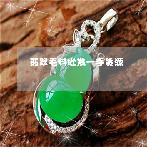 翡翠毛料批发一手货源/2023060916050 翡翠毛料批发一手货源/2023060916050