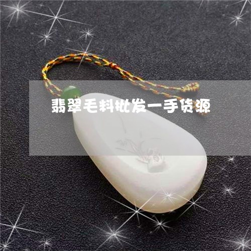 翡翠毛料批发一手货源/2023060929371 翡翠毛料批发一手货源/2023060929371