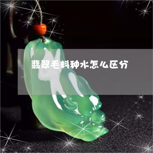 翡翠毛料种水怎么区分