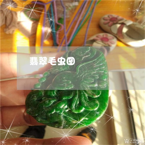 翡翠毛虫图/2023071354179