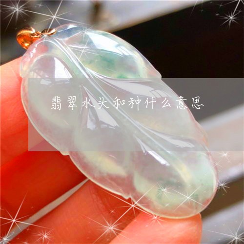 翡翠水头和种什么意思/2023060949379 翡翠水头和种什么意思/2023060949379