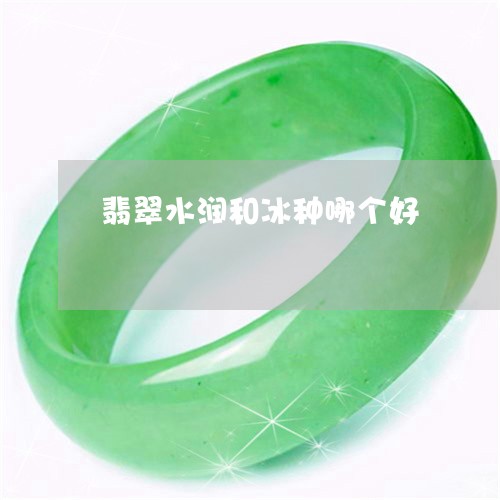 翡翠水润和冰种哪个好/2023060950493