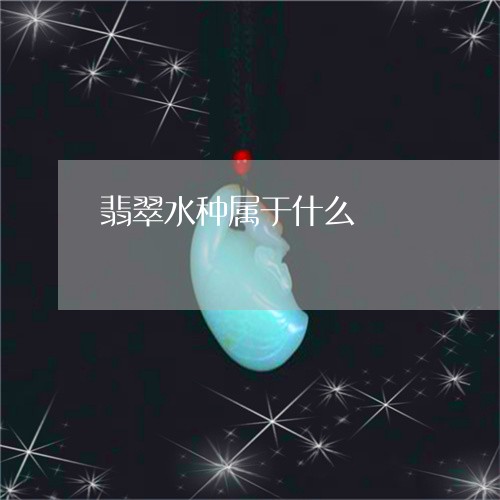 翡翠水种属于什么/2023062594138