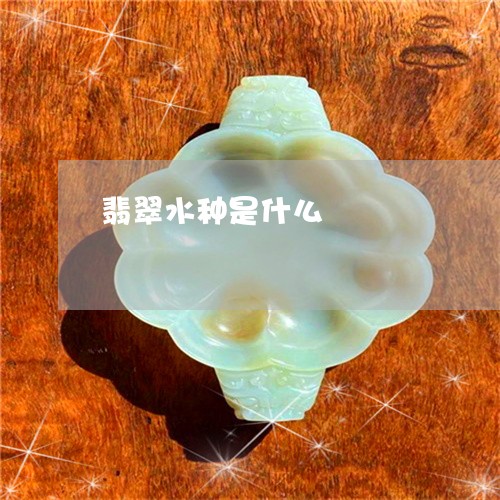 翡翠水种是什么/2023032528078