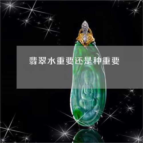 翡翠水重要还是种重要
