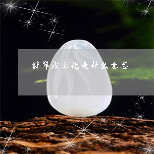 翡翠没玉化是什么意思/2023060972613