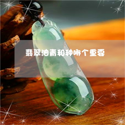 翡翠油青和种哪个重要 翡翠油青和种哪个重要