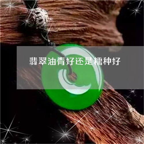 翡翠油青好还是糯种好 翡翠油青好还是糯种好