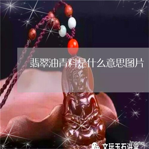 翡翠油青料是什么意思图片/2023071106069