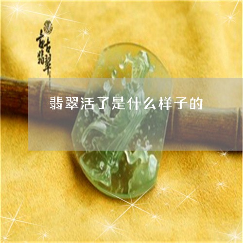 翡翠活了是什么样子的 翡翠活了是什么样子的