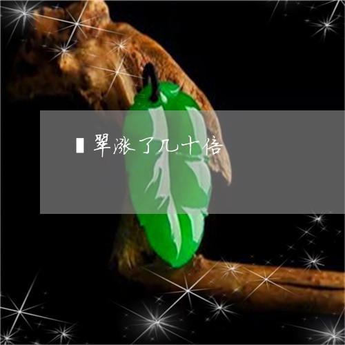 翡翠涨了几十倍/2023032489373 翡翠涨了几十倍/2023032489373