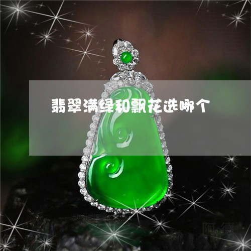翡翠满绿和飘花选哪个