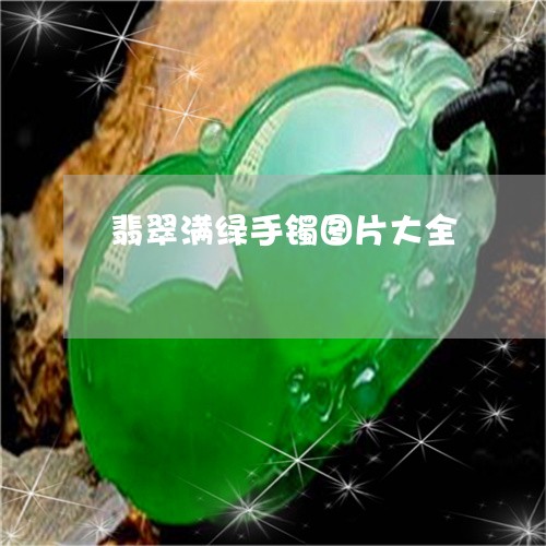 翡翠满绿手镯图片大全 翡翠满绿手镯图片大全