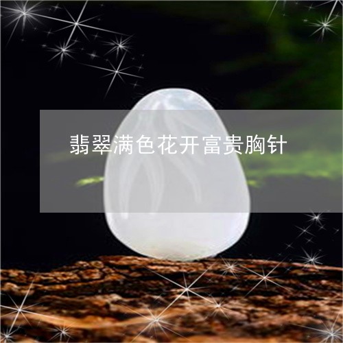 翡翠满色花开富贵胸针/2023060939503