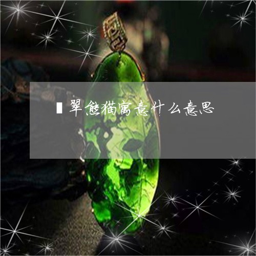 翡翠熊猫寓意什么意思/2023060934036 翡翠熊猫寓意什么意思/2023060934036