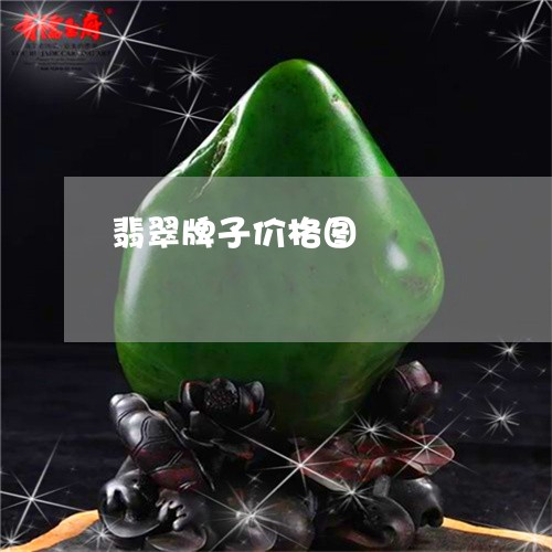 翡翠牌子价格图/2023032492503 翡翠牌子价格图/2023032492503